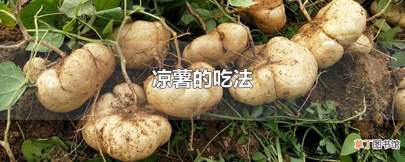 凉薯的吃法