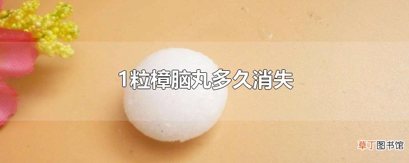 1粒樟脑丸多久消失