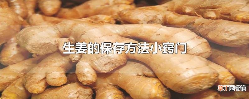 生姜的保存方法小窍门