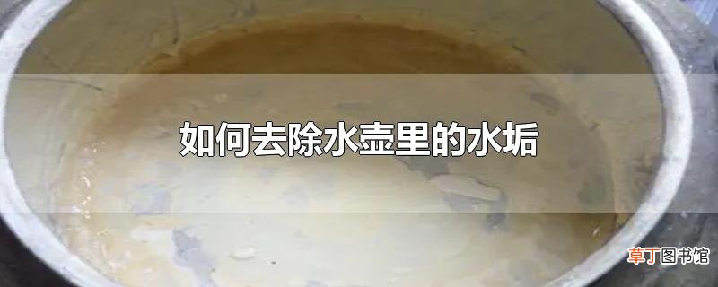 怎么去除水壶里的水垢