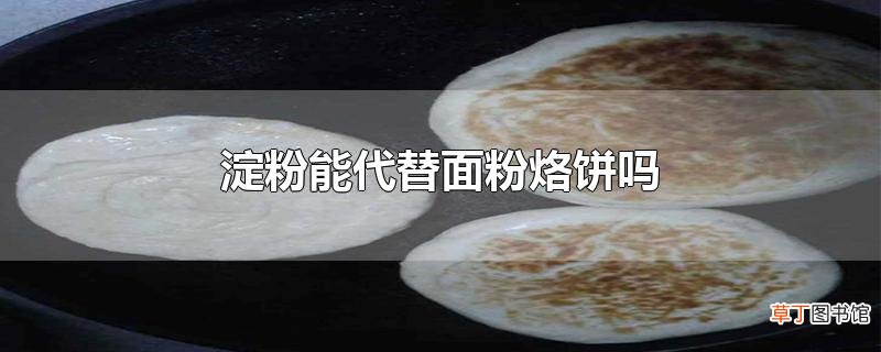 淀粉能代替面粉烙饼吗