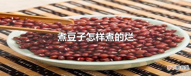 煮豆子怎样煮的烂