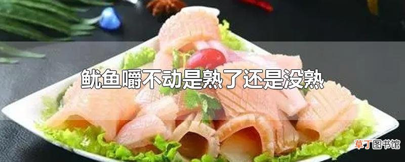 鱿鱼嚼不动是熟了还是没熟