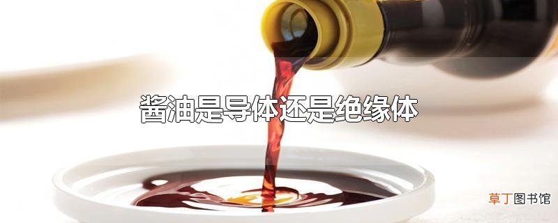 酱油是导体还是绝缘体