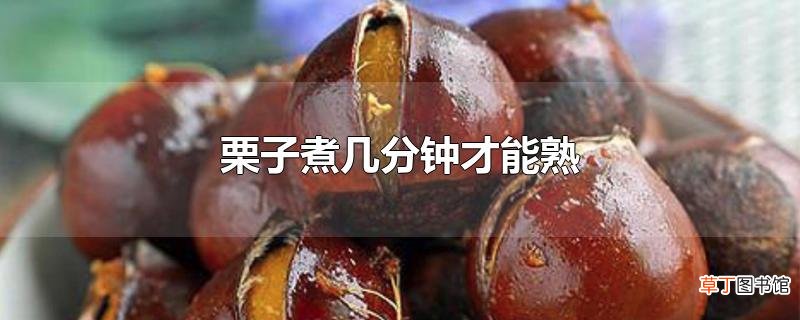 栗子煮几分钟才能熟