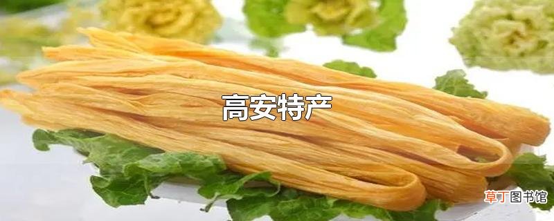 高安特产