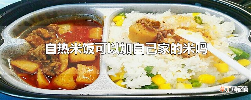 自热米饭可以加自己家的米吗