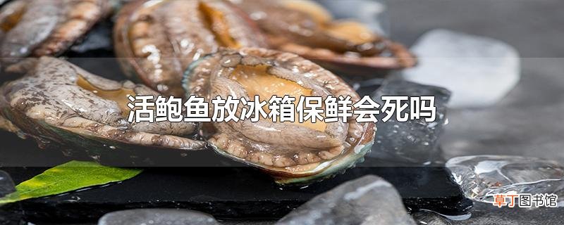 活鲍鱼放冰箱保鲜会死吗