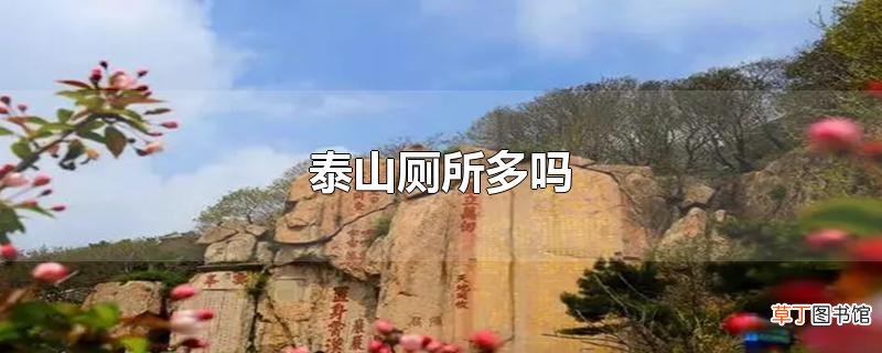 泰山厕所多吗