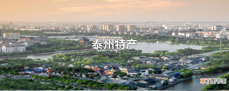 泰州特产