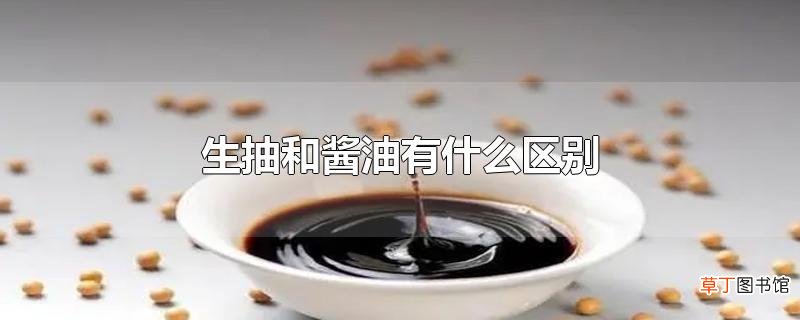 生抽和酱油有什么区别