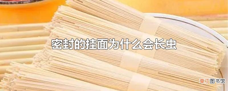 密封的挂面为什么会长虫