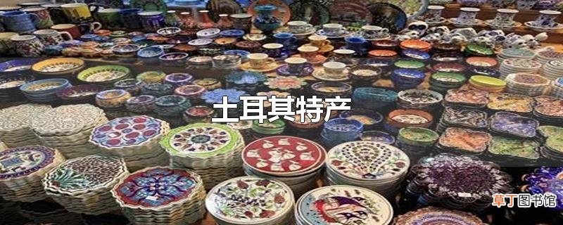 土耳其特产