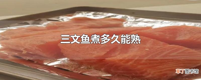 三文鱼煮多久能熟