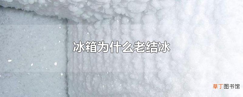 冰箱为什么老结冰