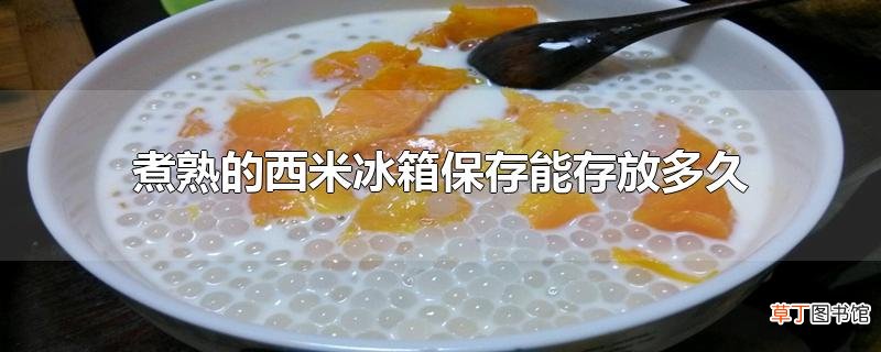 煮熟的西米冰箱保存能存放多久
