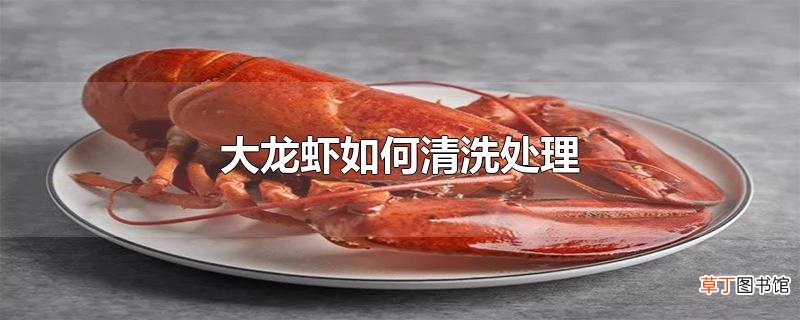 大龙虾怎么清洗处理
