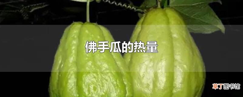 佛手瓜的热量