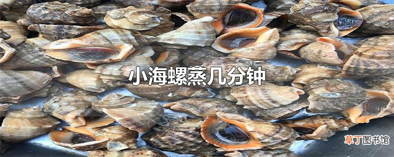 小海螺蒸几分钟
