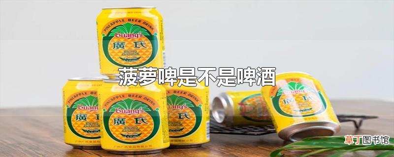 菠萝啤是不是啤酒