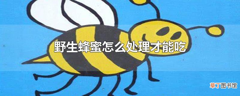 野生蜂蜜怎么处理才能吃