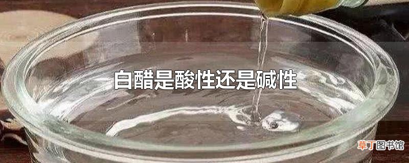 白醋是酸性还是碱性