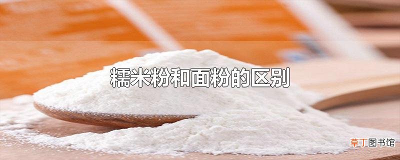 糯米粉和面粉的区别