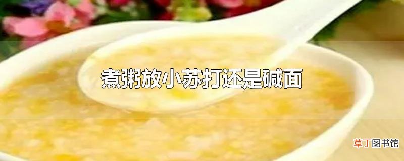 煮粥放小苏打还是碱面