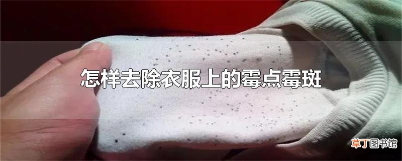 怎样去除衣服上的霉点霉斑