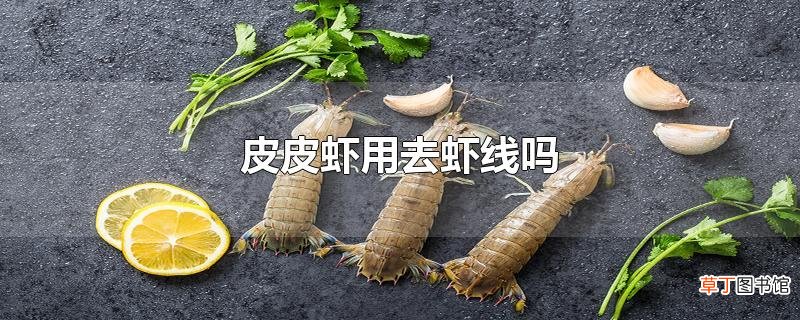 皮皮虾用去虾线吗