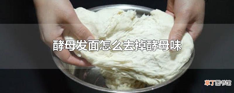 酵母发面怎么去掉酵母味