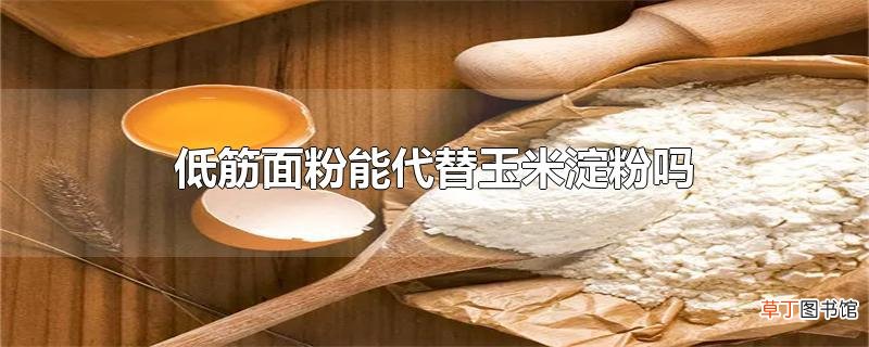 低筋面粉能代替玉米淀粉吗