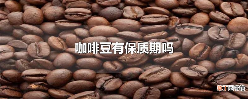 咖啡豆有保质期吗