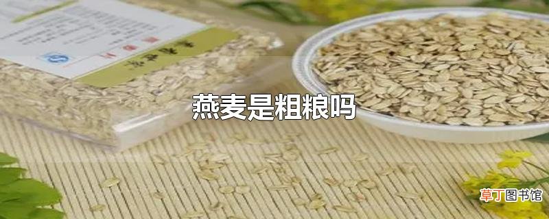 燕麦是粗粮吗