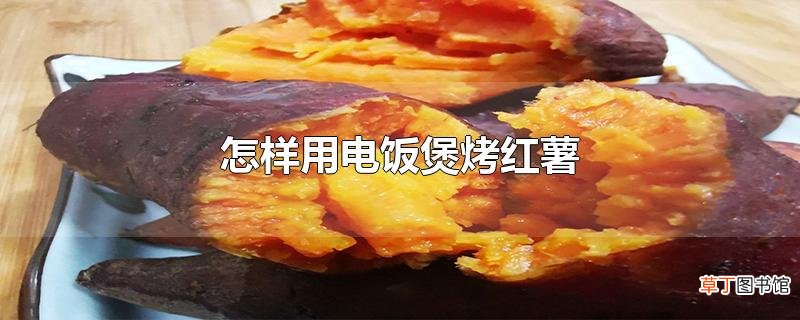 怎样用电饭煲烤红薯
