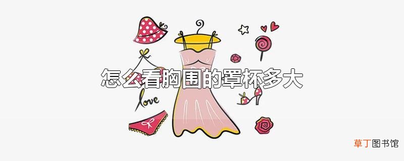 怎么看胸围的罩杯多大