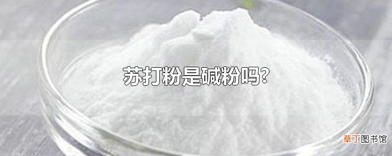 苏打粉是碱粉吗?