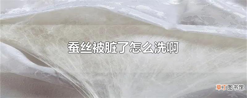 蚕丝被脏了怎么洗啊