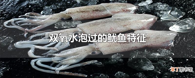 双氧水泡过的鱿鱼特征