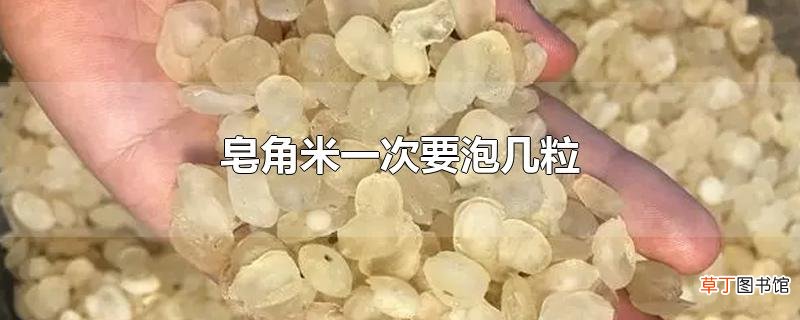 皂角米一次要泡几粒