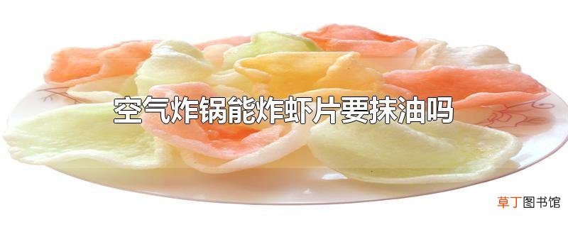 空气炸锅能炸虾片要抹油吗
