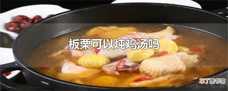 板栗可以炖鸡汤吗