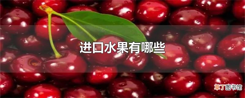 进口水果有哪些