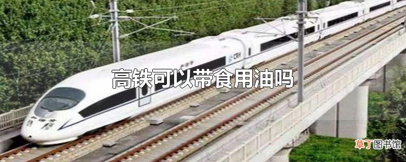 高铁可以带食用油吗