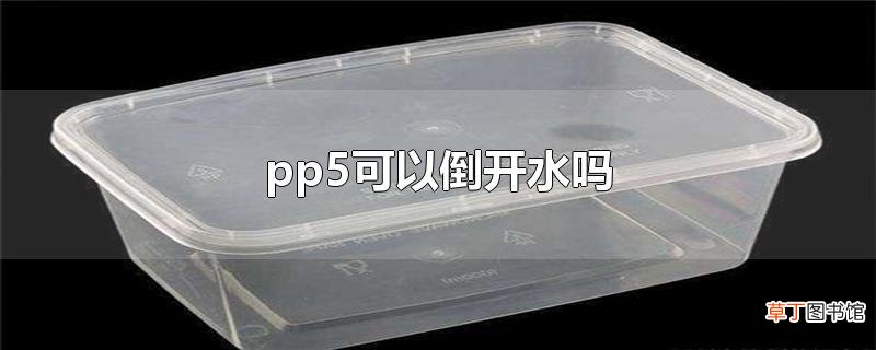 pp5可以倒开水吗