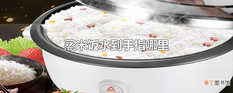 蒸米饭水到手指哪里
