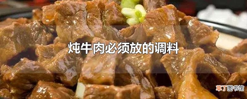 炖牛肉必须放的调料