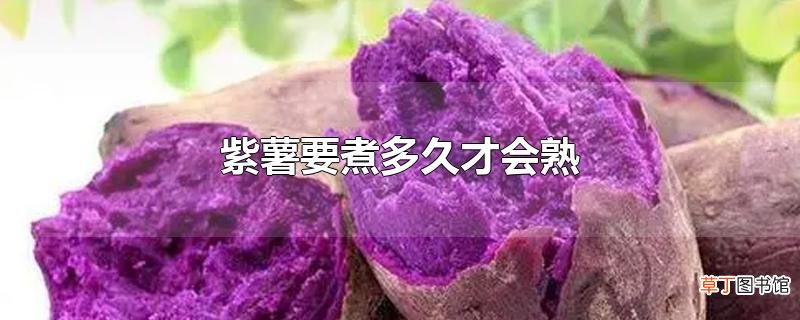 紫薯要煮多久才会熟