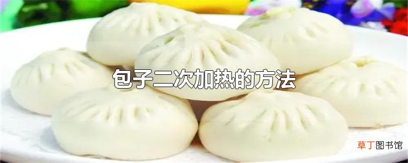 包子二次加热的方法