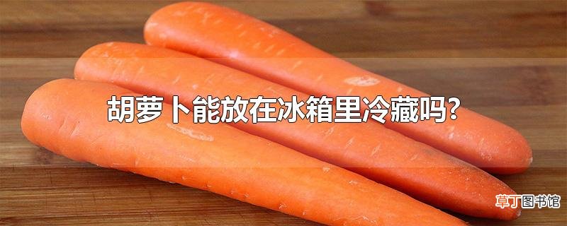 胡萝卜能放在冰箱里冷藏吗?